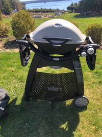 Weber propane BBQ Grill and stand