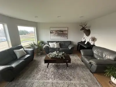 couches for sale , View more