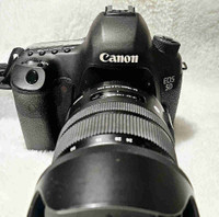 Canon 5D Mark III + Sigma 24-70mm f/2.8 Art Lens + 430EX III-RT 