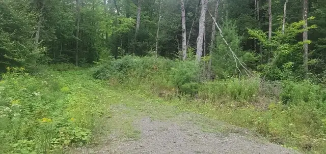 Land in Lachute 63,533.5 square feet / Land Lot63672016857091121
