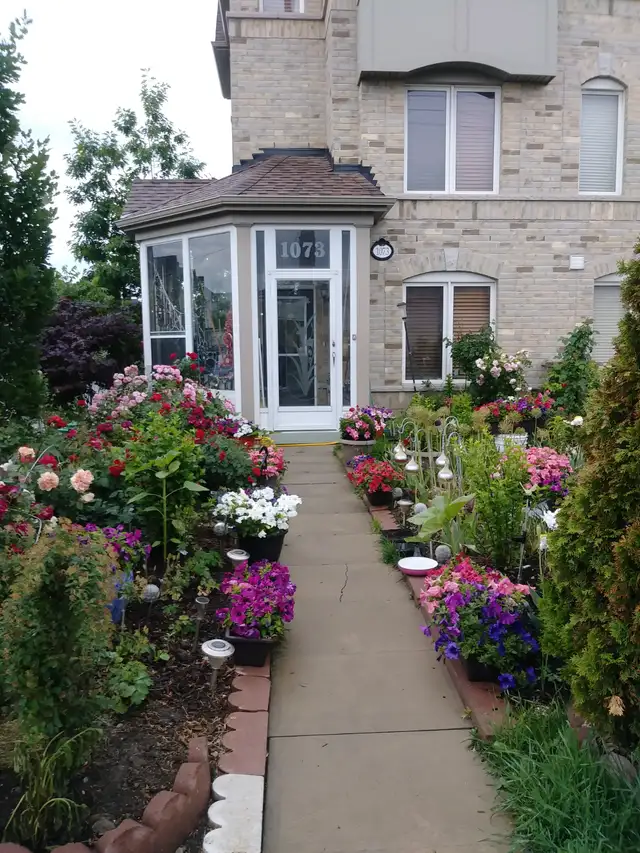 Sharing Room for rent in Room Rentals & Roommates in City of Toronto - Image 4