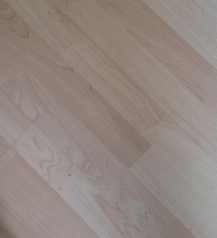 Entire Laminate Flooring Package ~ 970 sq/ft