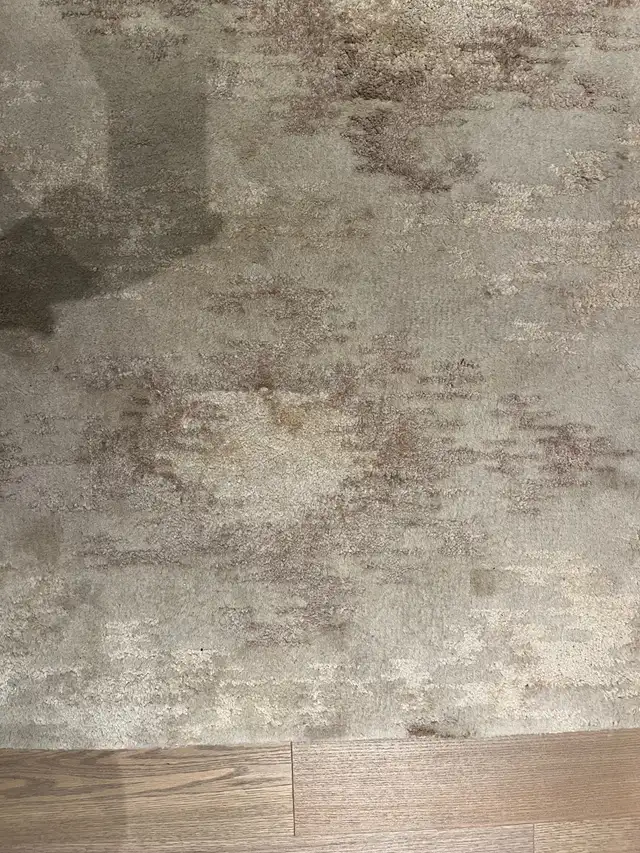 Quality Wool Area Rug in Rugs, Carpets & Runners in Markham / York Region - Image 4