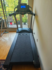 True 300 Treadmill with belt extra-wide & orthopedic cushioning