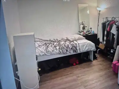 Room for rent for a single female in a 2 Bed 2 Bath condo Located in Bayview and Shepard, North York...