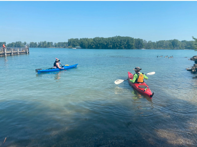 KAYAKS (1) NECKY ZOAR SPORTS KAYAK in Canoes, Kayaks & Paddles in Windsor Region