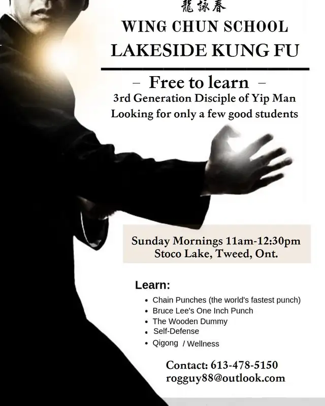 WING CHUN KUNG FU457409106815887360