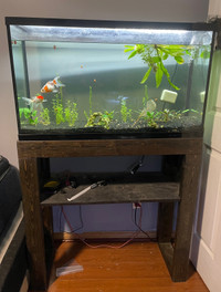 55 Gallon Fish Tank with stand 