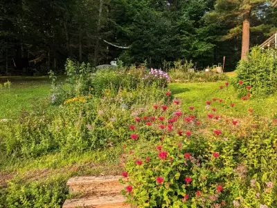 Private entrance & two rooms in shared artsy forest home $950
