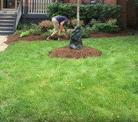 Landscaping services 