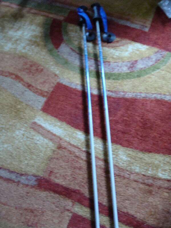 Goode ski composite ski poles 120cm in Ski in Trenton - Image 2