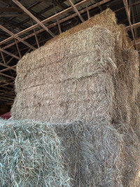 Hay for sale. Rounds and large sqs 
