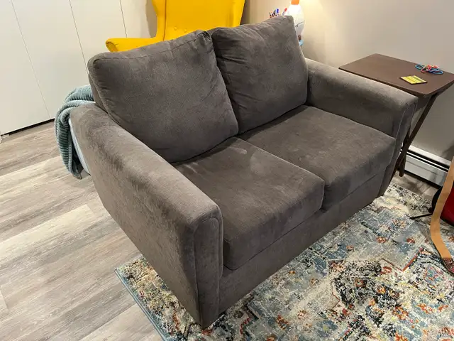 Comfortable Love Seat Sofa