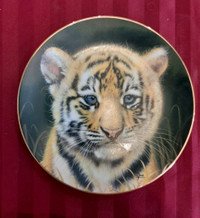 Beautiful Vintage 8" Tiger Cub Collector Plate