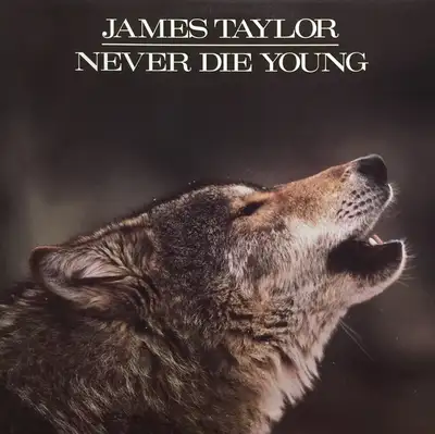James Taylor - "Never Die Young" Original 1988 Vinyl LP, View more