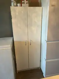 MOVING SALE - Storage Cabinet with Doors