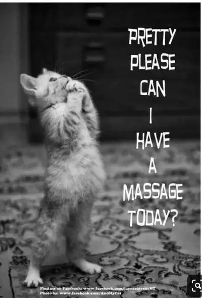 Warm Table Warm Hands Full Body Massage Direct Bill 8259844118, View more