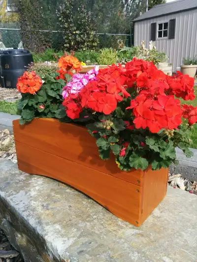 Cedar planter boxes, View more