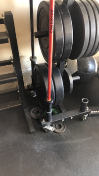 35lb synergee barbell with collars