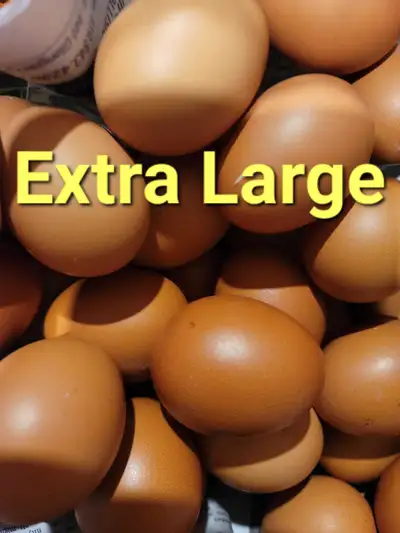 Farm Fresh Eggs, View more