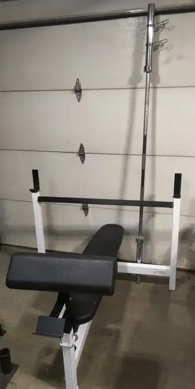 Selling a bench press and Olympic bar in GUC. Northern Lights brand bench press so good quality. The...