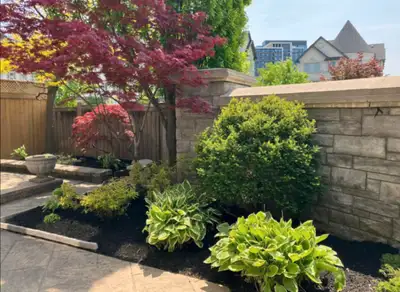 Landscaping ✅ GTA, View more
