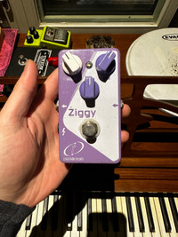 Crazy Tube Circuit’s Ziggy OD
