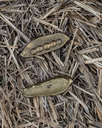 Look at this fall harvest! This set includes a detailed brass corncob and a charming brass peapod, p...