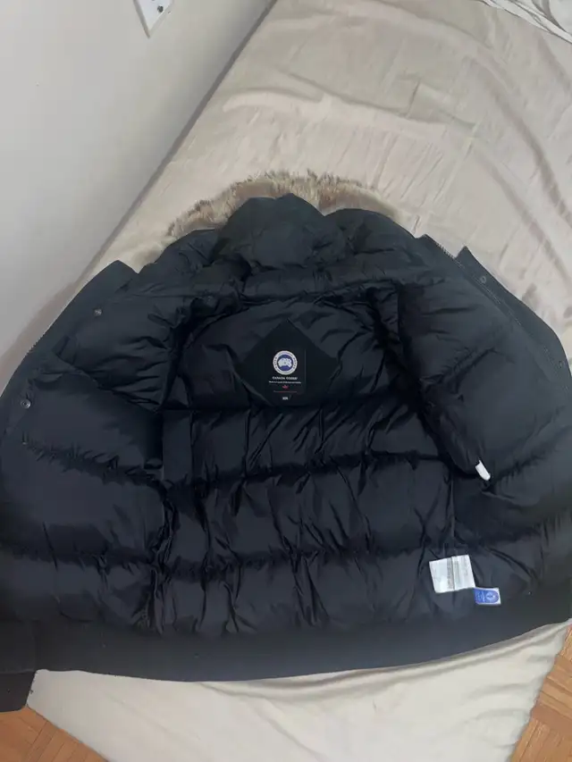 Canada Goose in Other in City of Toronto - Image 4