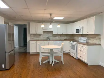 Spacious 3 bedroom basement apartment with newer customed kitchen in sought after area! Private larg...