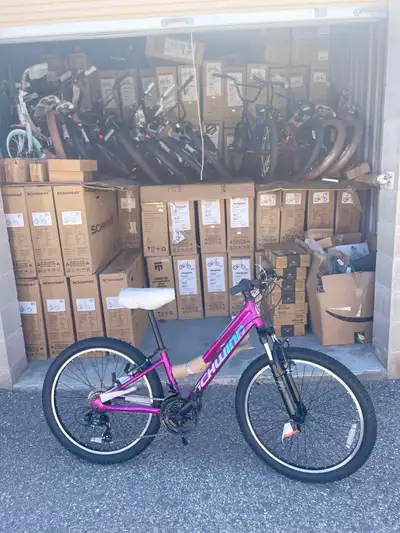 Youth Girls 24” Mountain Bike Schwinn BRAND NEW , View more