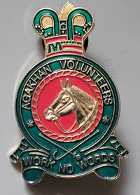 Vintage Agakhan Volunteers "Work No Words" Enameled Pin Lapel 