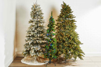 Looking for Christmas Trees (Ottawa Area)