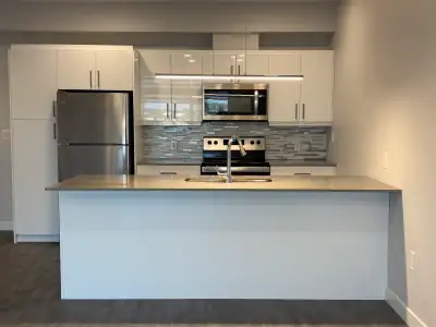 Luxury 1Bd 1Bth Apartment for Rent