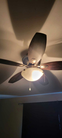 Ceiling fan