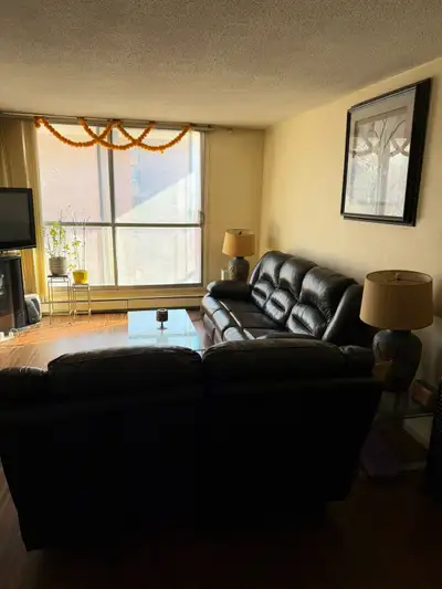 Fully furnished 1 bedroom apartment, bright facing SE, large balcony, only 2 blocks from university/...