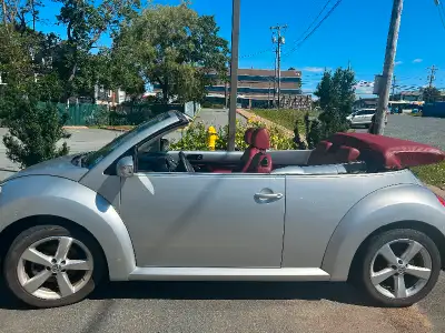 2009 Limited Edition Volkswagen Beetle Blush Convertible