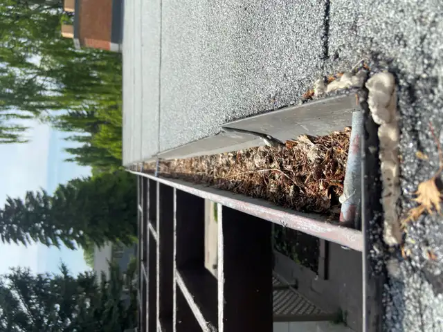 ManUponRoof Local Gutter Cleaning, AFFORDABLE, FREE ESTIMATE62863234416771121
