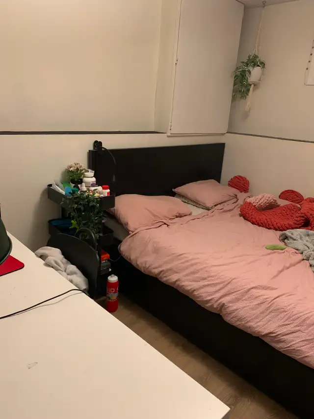 McMaster Student Housing in Room Rentals & Roommates in Hamilton - Image 7
