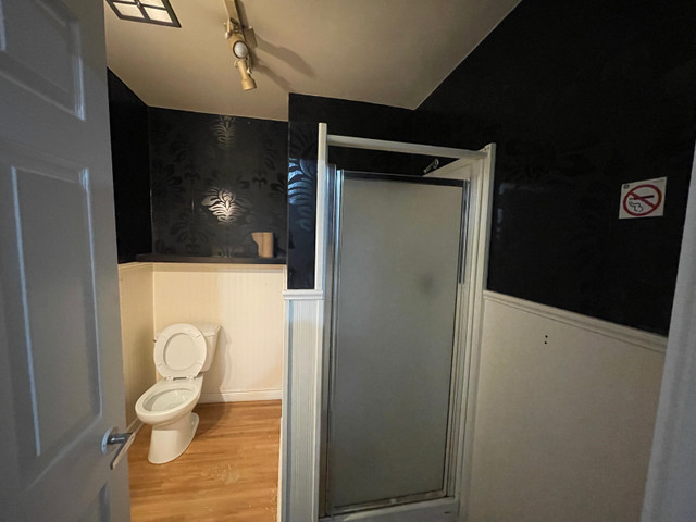 3 Bedroom 1 Washroom Detached house  in Long Term Rentals in Brantford