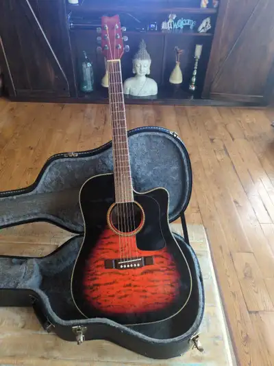 Washburn Acoustic Guitar, View more