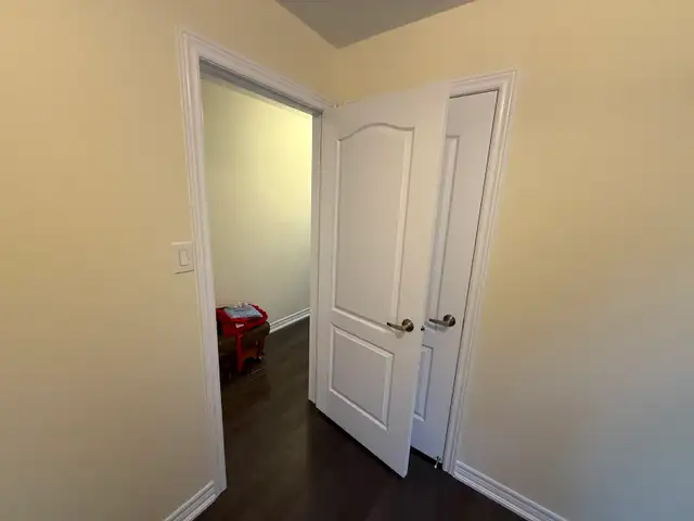 professional painter486353626653665284