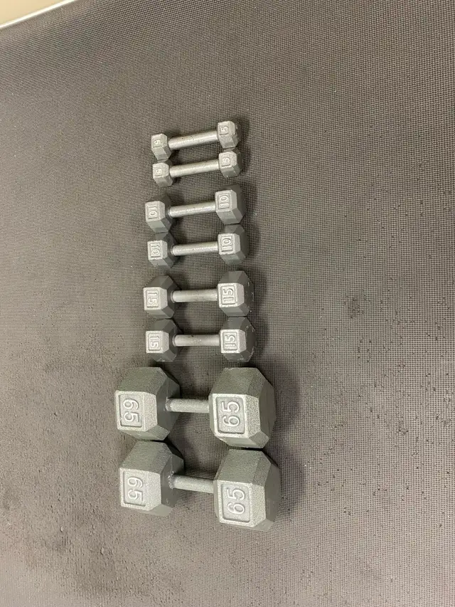 Dumbbell Weights ($1.50/lb) in Exercise Equipment in Ottawa - Image 2