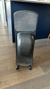 Onewheel Pint