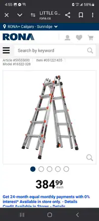 Costco little gaint. Multi  ladder 