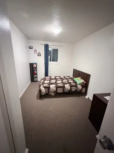 Hi we are a punjabi couple living in this beautiful apartment at this beautiful location. All necess...