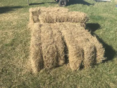 I WILL BE CANCELING THIS IN A FEW WEEKS AND WON'T BE OFFERING THE BALES FOR SALE SO IF YOU WANT SOME...