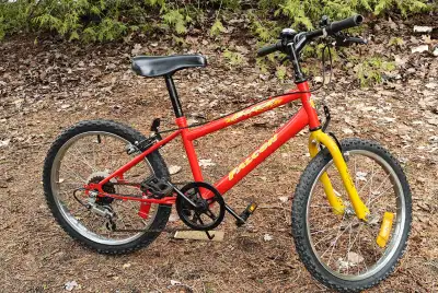 20 Inch FALCON Kids Mountain Bike for 8-11 years boys & girls with kickstand, featuring 5-speed driv...