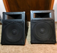 TOA 12 inch 2 way Monitor speakers
