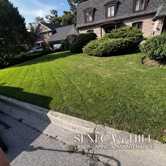 Professional Lawn Maintenance Plans | SenecaHill Landscaping in Lawn, Tree Maintenance & Eavestrough in City of Toronto - Image 9